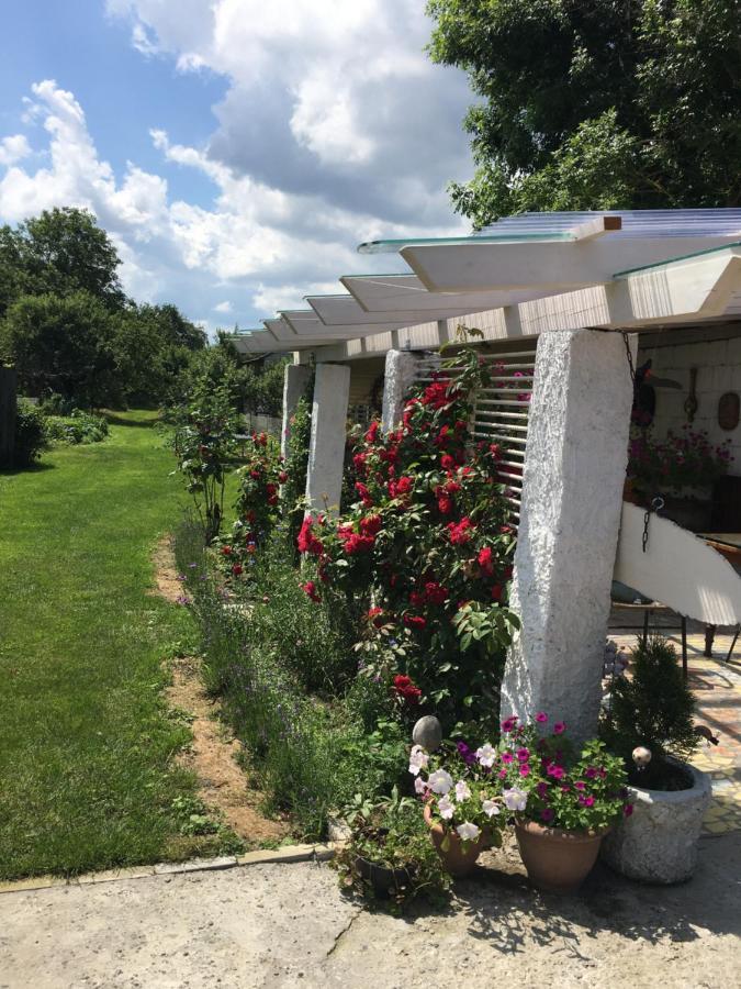 Agroturystyka "Pod Bluszczem" Krasnobrod Bagian luar foto