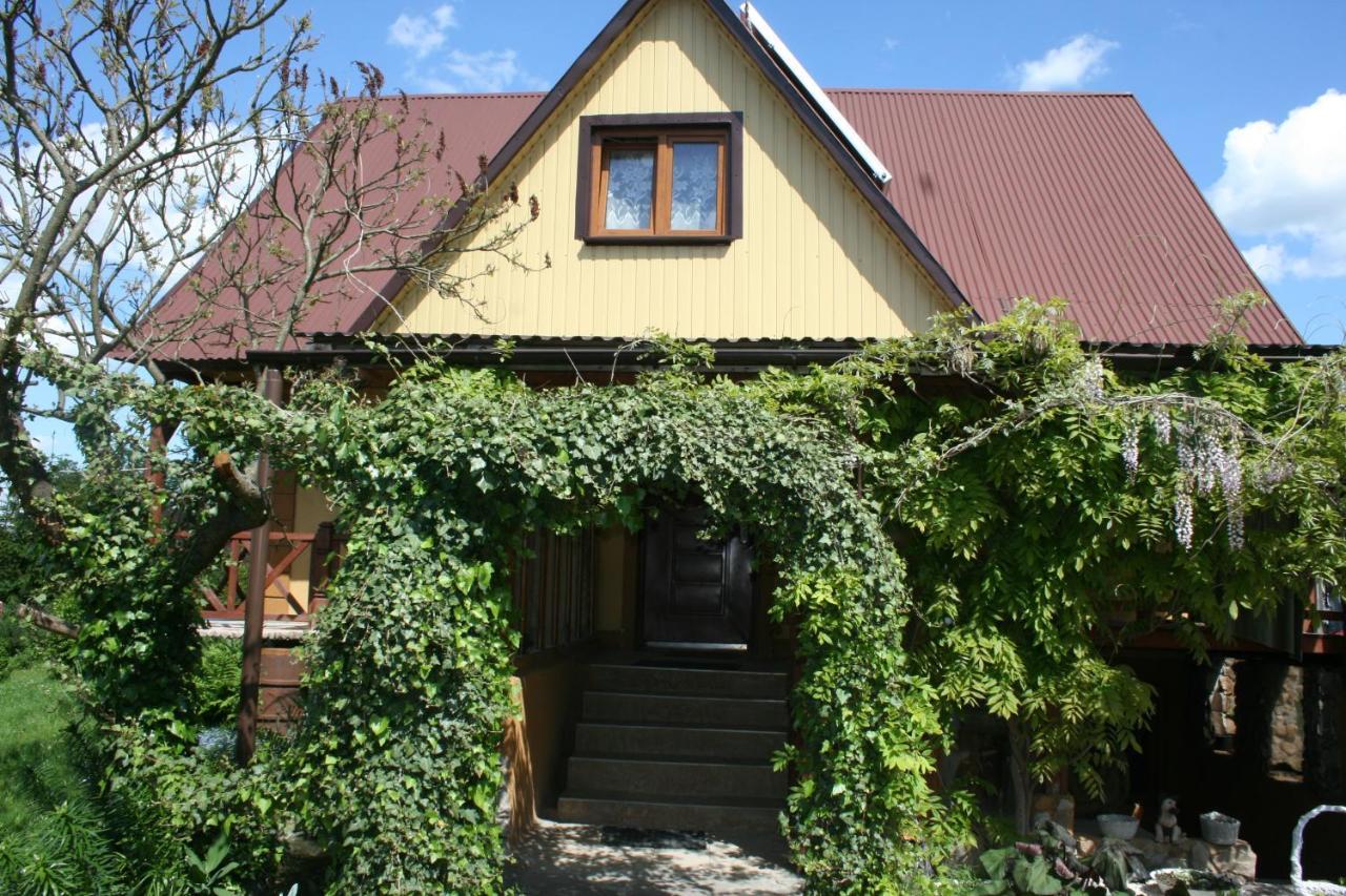 Agroturystyka "Pod Bluszczem" Krasnobrod Bagian luar foto