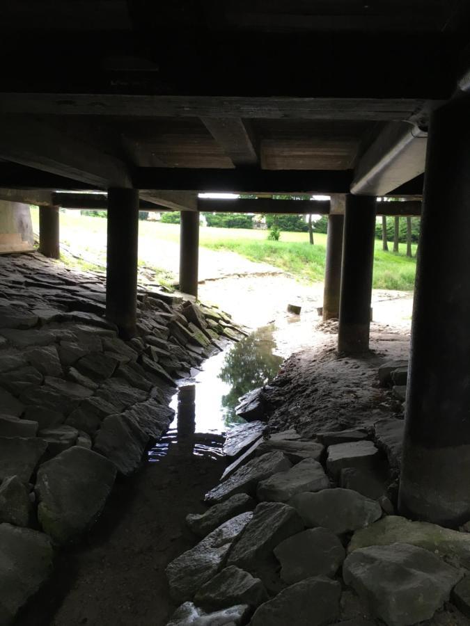 Agroturystyka "Pod Bluszczem" Krasnobrod Bagian luar foto
