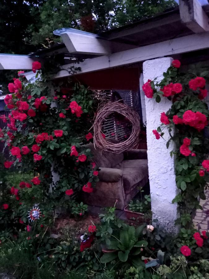 Agroturystyka "Pod Bluszczem" Krasnobrod Bagian luar foto