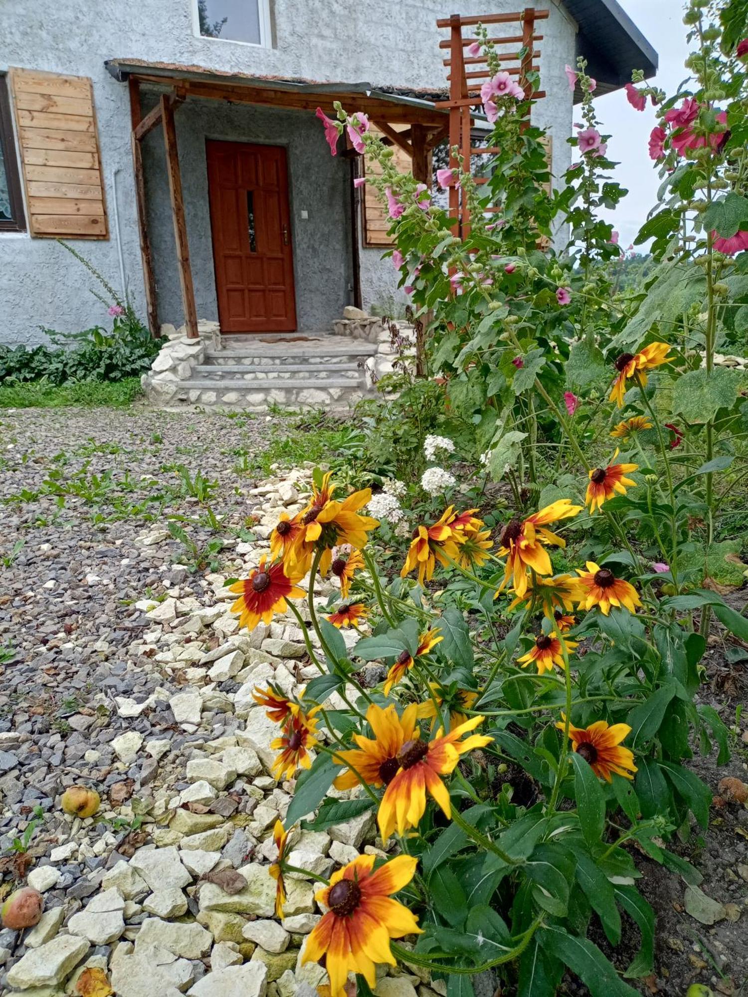 Agroturystyka "Pod Bluszczem" Krasnobrod Bagian luar foto